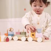 Tren Multicolor